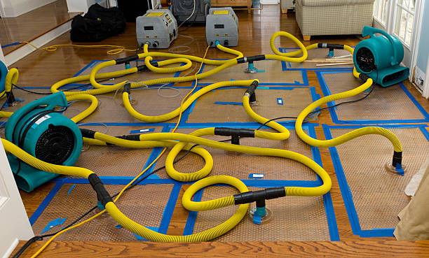Professional Crawl Space Water Removal technician working in Lesage, WV